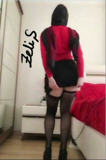 zelis3